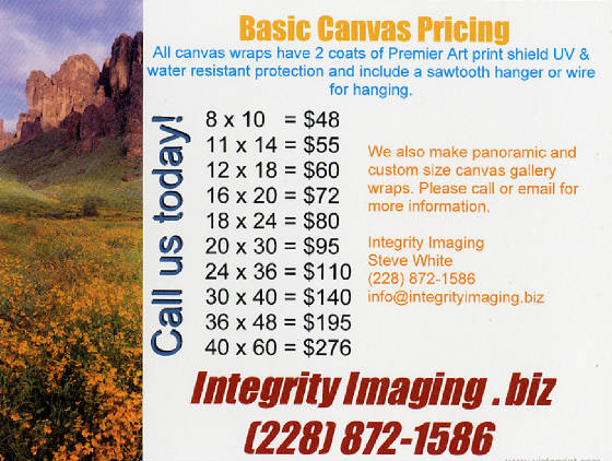 Basic canvas pricing